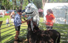 Boof the Barra popped in for a pat!