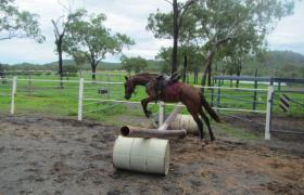 Magnums first jump. 