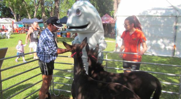 Boof the Barra popped in for a pat!