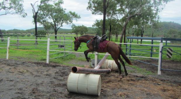 Magnums first jump. 